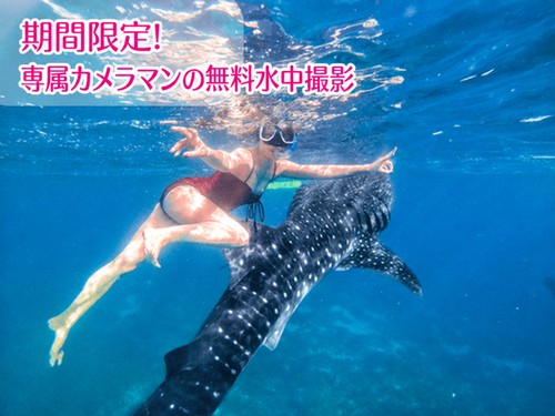 期間限定！専属カメラマンの無料水中撮影