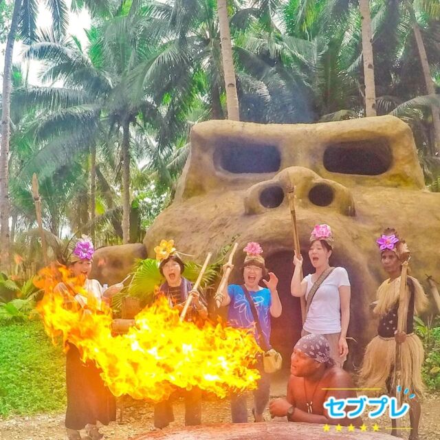 自然豊かなボホール島へ🌴☀️　ボホール島でしか見れない、可愛らしい世界最小のメガネザル『ターシャ🐒💚』　森木に囲まれたロボックリバーをクルージングしながらの豪華船内ランチ⛵🍖いくつもの山々から成る幻想的な光景が広がる『チョコレートヒルズ⛰』　ツアーでは谷から谷へ滑走するスリル満点の"ジップライン"や"空中自転車"、ご希望で大自然の中を走るバギー操縦体験も追加可能です🤟🌤️⇢⇢⇢⇢⇢⇢⇢⇢⇢⇢⇢⇢⇢📌#ボホール島　#チョコレートヒルズ　#ターシャ⇢⇢⇢⇢⇢⇢⇢⇢⇢⇢⇢⇢⇢📣 当アカウントについて 📣　フィリピン・セブ島の日経旅行会社が、セブ島の魅力を現地からご紹介！　🏝 セブ島の観光名所を詳しく紹介！☀ 旅行前に知りたいお役立ち情報をお届け🇵🇭 セブ島留学でも役立つ現地情報も発信！　⇢⇢⇢⇢⇢⇢⇢⇢⇢⇢⇢⇢⇢　セブ島の現地旅行会社だからできる、コスパNo1のオプショナルツアー・アクティビティも開催中❣　開催中の詳しいツアーはこちらへ💁▶ @cebupre.official○LINE ID : @cebutours○Google : 【 セブプレ 】 で検索！DMもお気軽にどうぞ🌺　⇢⇢⇢⇢⇢⇢⇢⇢⇢⇢⇢⇢⇢#セブプレ#セブ島 #セブ島旅行 #セブ島ツアー #セブ島観光 #セブ島留学 #セブ  #セブ旅行 #セブ留学 #フィリピン #フィリピン旅行 #genic_cebu #もっと楽しいフィリピン #マクタン島
